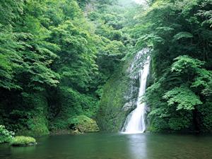 最新のバス釣りを制覇！megabassのおすすめルアーと使い方徹底ガイド