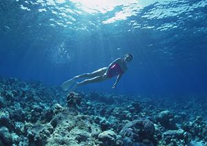 東横イン品川青物横丁駅｜東京都品川区のアクセス便利なビジネスホテルの詳細情報と魅力