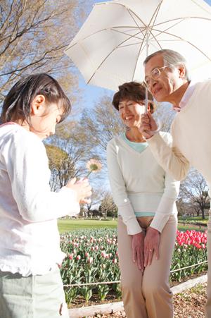 家族で楽しむ石垣島アクティビティ完全ガイド：自然体験から思い出作りまで