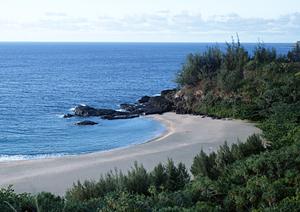 福島県郡山のビジネスホテル「東横INN郡山」の魅力と最新情報
