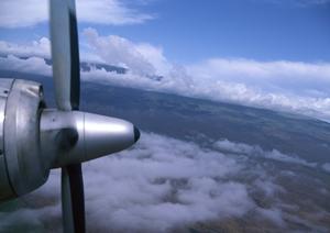 原宿の最新動物カフェ完全ガイド2025：癒しとフォトスポット満載のおすすめ店紹介